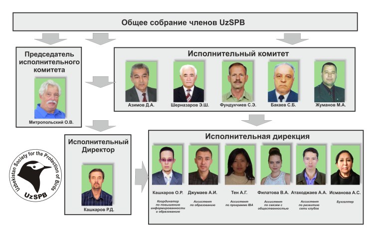 Структура UzSPB_RUS