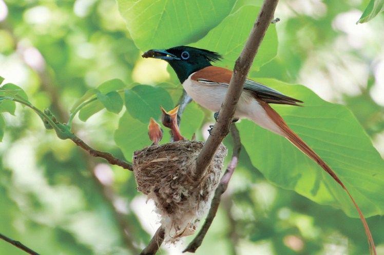 %d0%b0%d0%ba%d1%81%d0%b0%d0%ba%d0%b0%d1%82%d0%b0-_dsc9532