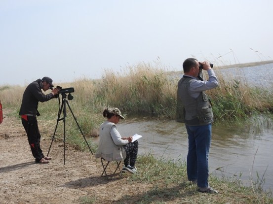 Каракалпакстан