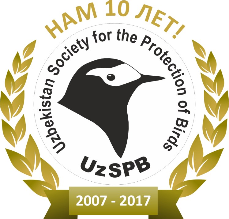 Эмблема UzSPB 10 Let