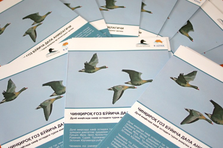 IMG_1490 - копия.JPG