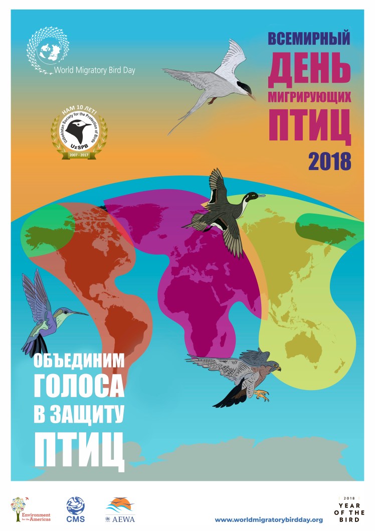 Постер WMBD 2018