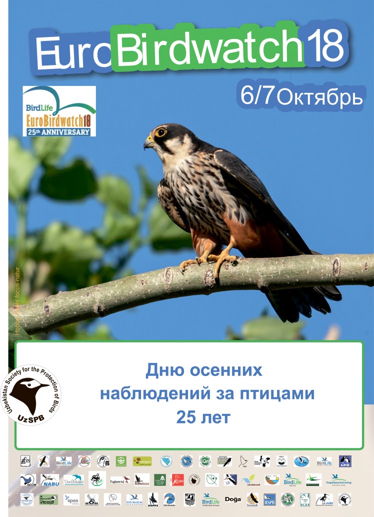 Постер EBW-2018 rus.jpg