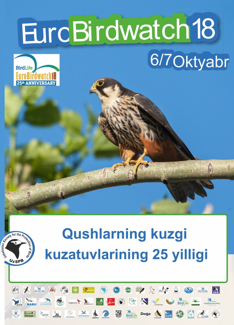 EBW18  Poster uzb.jpg