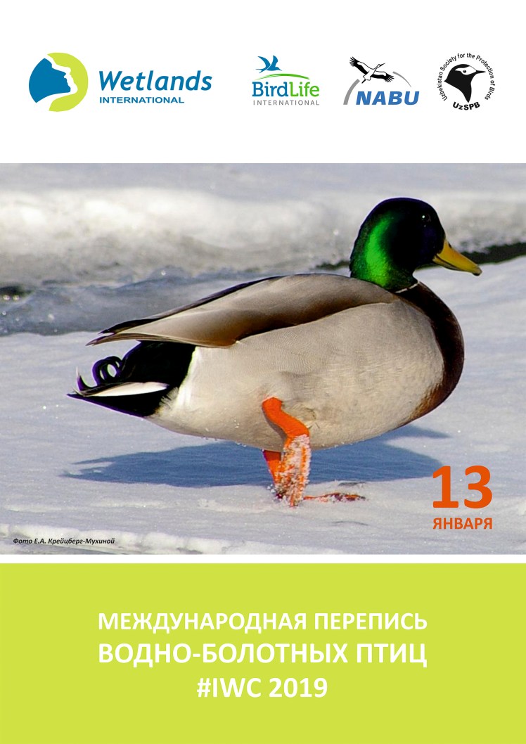 Poster_IWC 2019 - копия