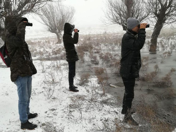 photo_2020-01-22_09-25-43