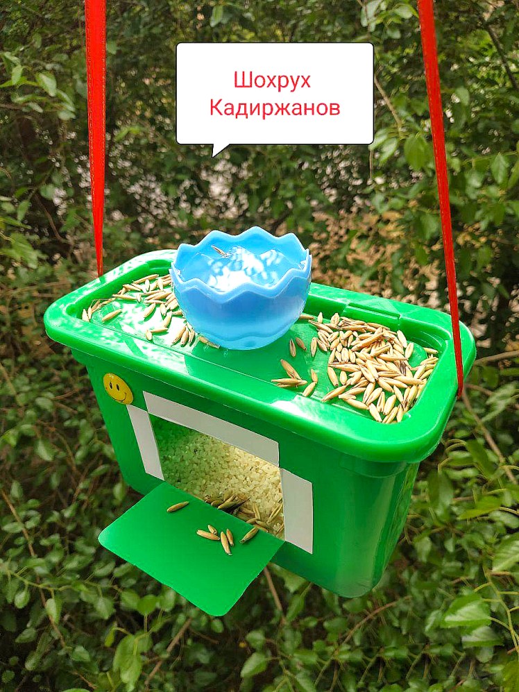 Creative bird feeders made by children9